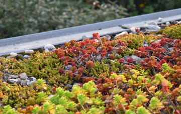 the cost of Stuntney green roof installation
