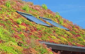 Stuntney living roof systems