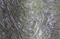 Stuntney fibreglass roof work